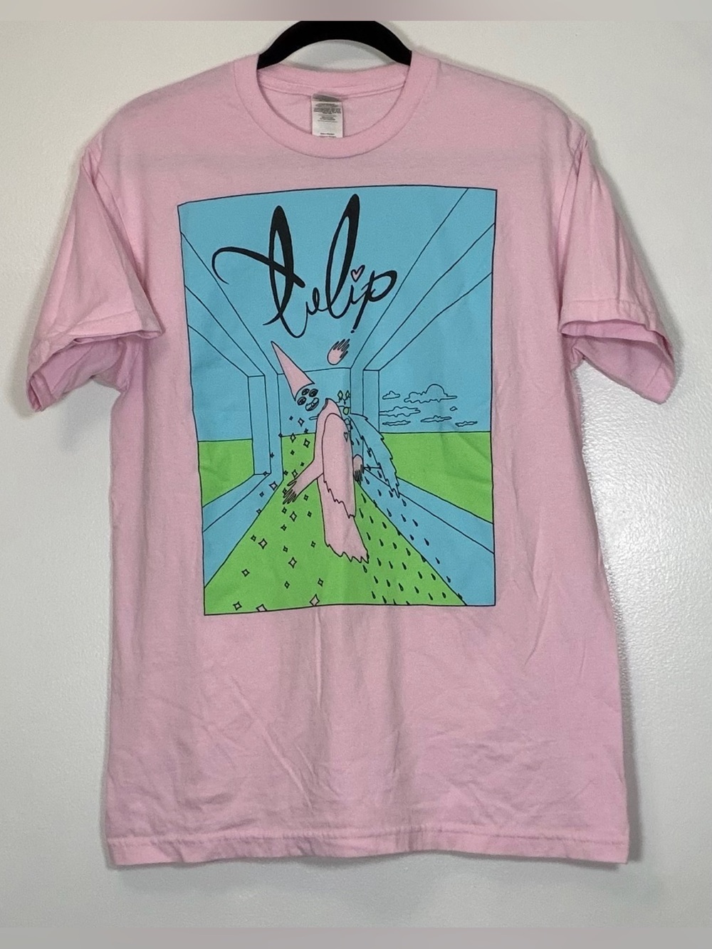 Tulip Gildan Pink Tee with Blue and Black Wizard Print